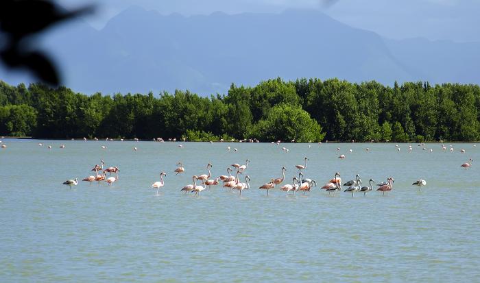 Cuba reafirma su compromiso con el enfrentamiento al cambio climático Cuba reafirma su compromiso con el enfrentamiento al cambio climático