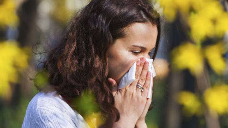 ¿Padeces de alergia? Entonces lee estas notas