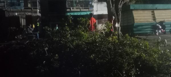 Tormenta ocasiona daños en Bayamo