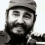 Fidel, eso que el árbol llama raíz