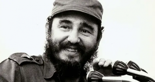 Fidel, eso que el árbol llama raíz