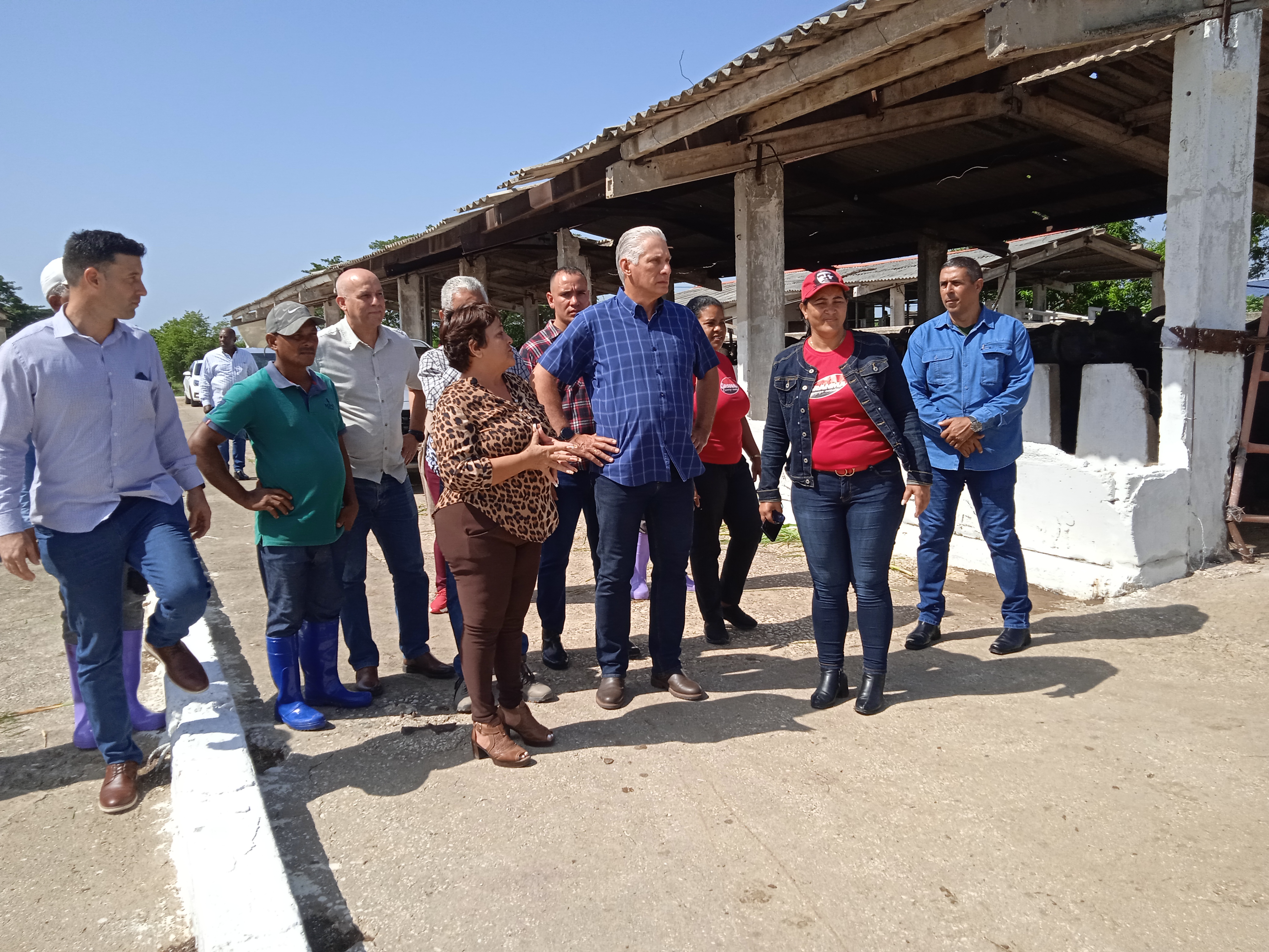 Recorre Díaz-Canel unidad de lechería bufalina en Bayamo