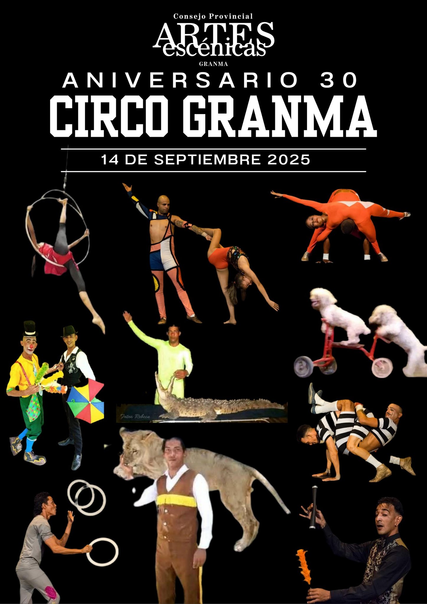 Hacer circo es que lo imposible sea realidad