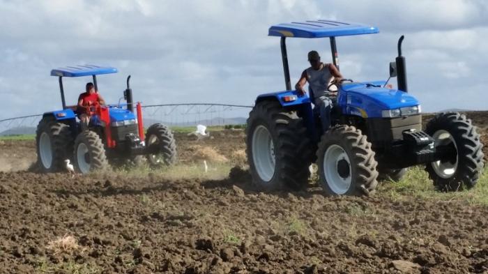 Realizarán Comprobación Nacional al Control Interno en más de 150 entidades del sector agropecuario