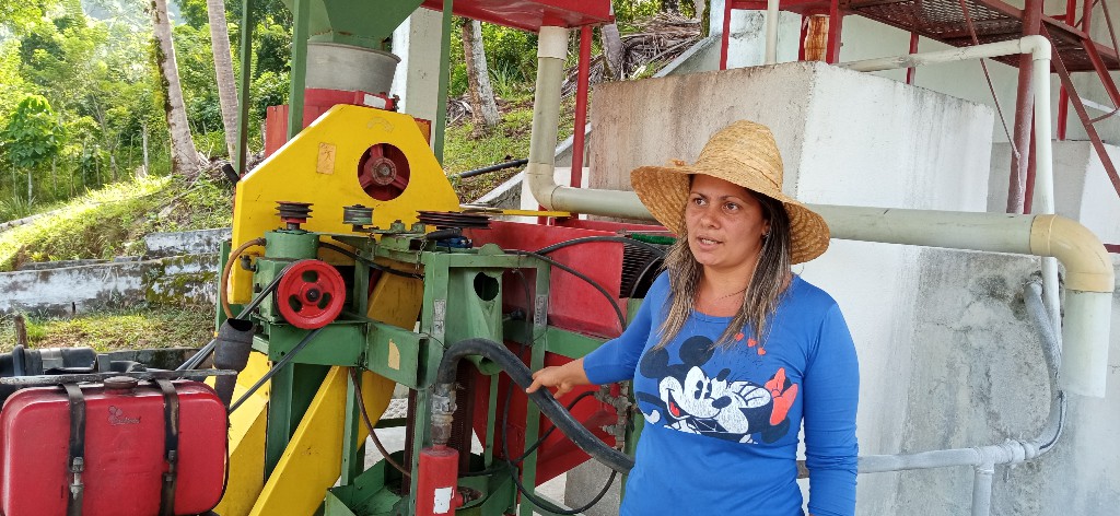 Reanudan operaciones industriales en despulpadora ecológica masoense