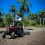 Cuba y la FAO en el camino de fortalecer la seguridad alimentaria