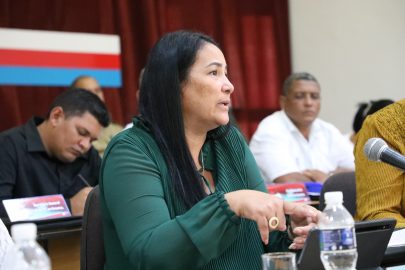 Granma impulsa el control y la innovación para fortalecer su economía