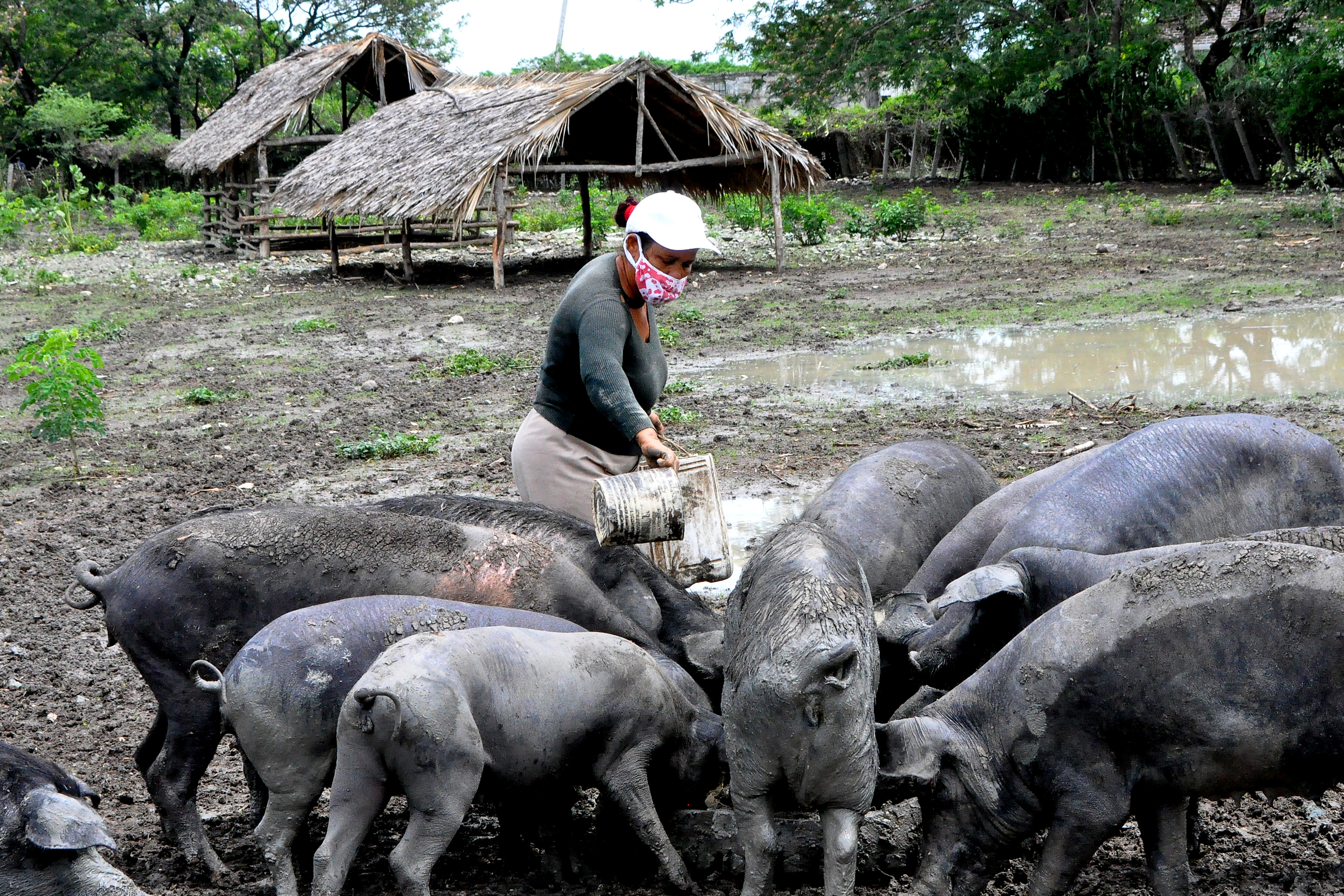 Granma celebrará acto por el Día internacional de mujeres rurales
