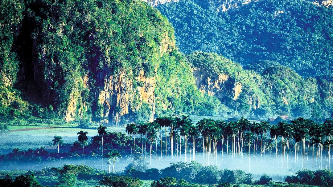 FAO aporta nuevo impulso a biodiversidad de Cuba