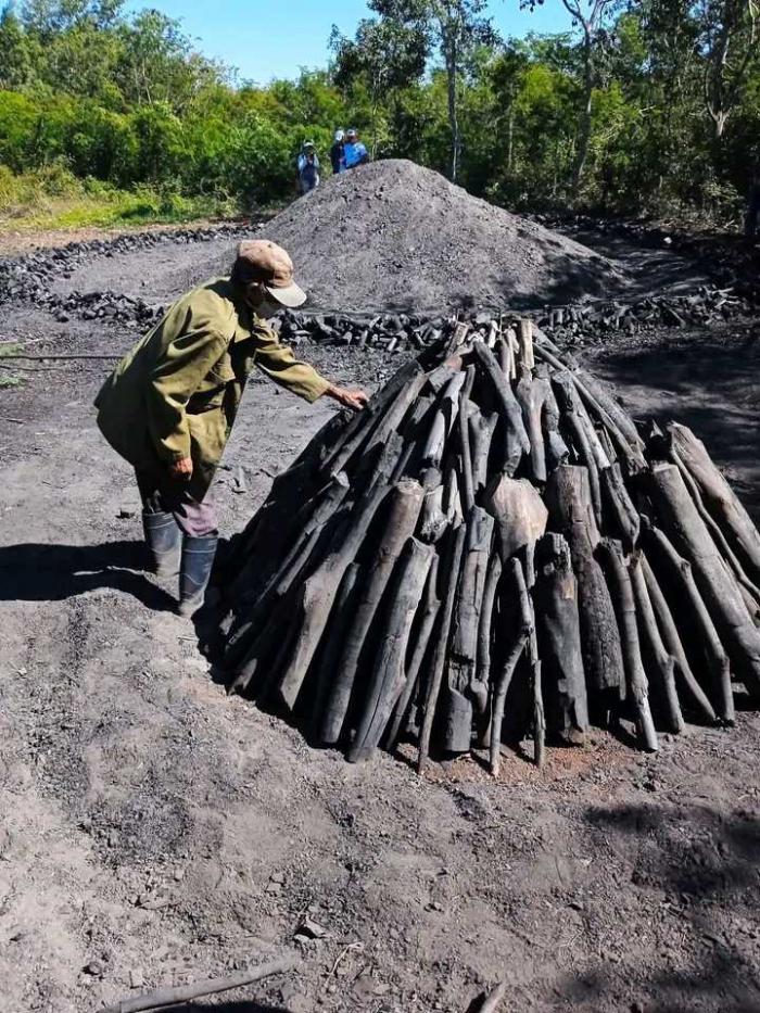 Silvicultora de Niquero, en Granma, proyecta exportación de miel y fortalecer carpintería