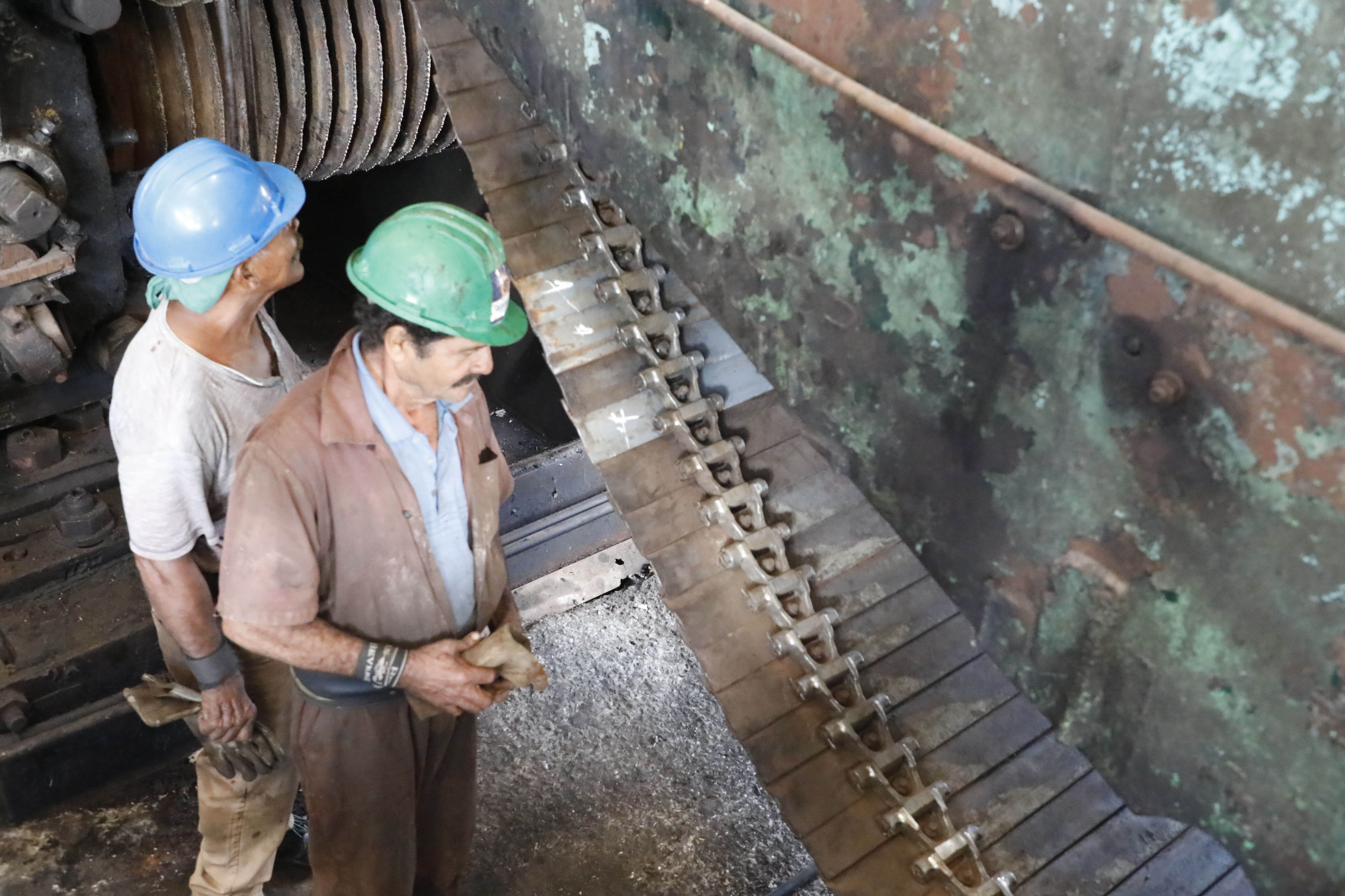 Azucareros trabajan contra reloj