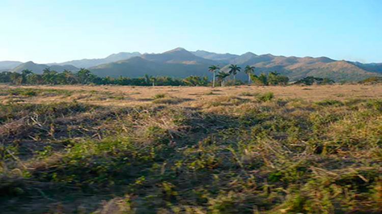 Urge agilizar  entrega de tierras ociosas