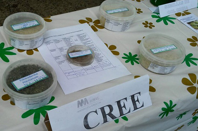 Granma desarrolla su potencialidad en Sanidad Vegetal