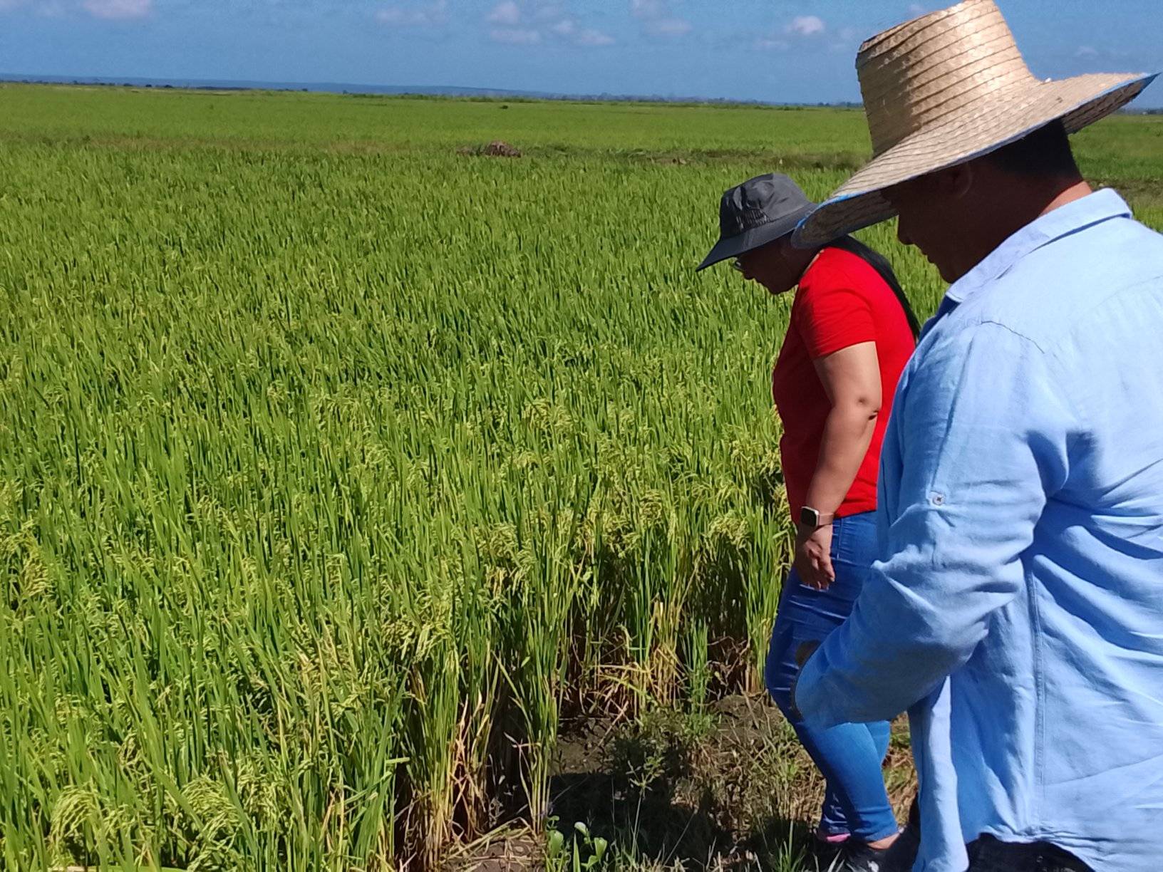 Obtiene  Yara,  la vanguardia en la  Emulación por el 17 de Mayo en Granma