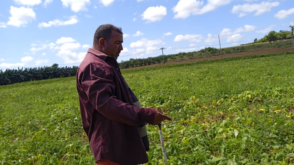 Producir la tierra es proponérselo
