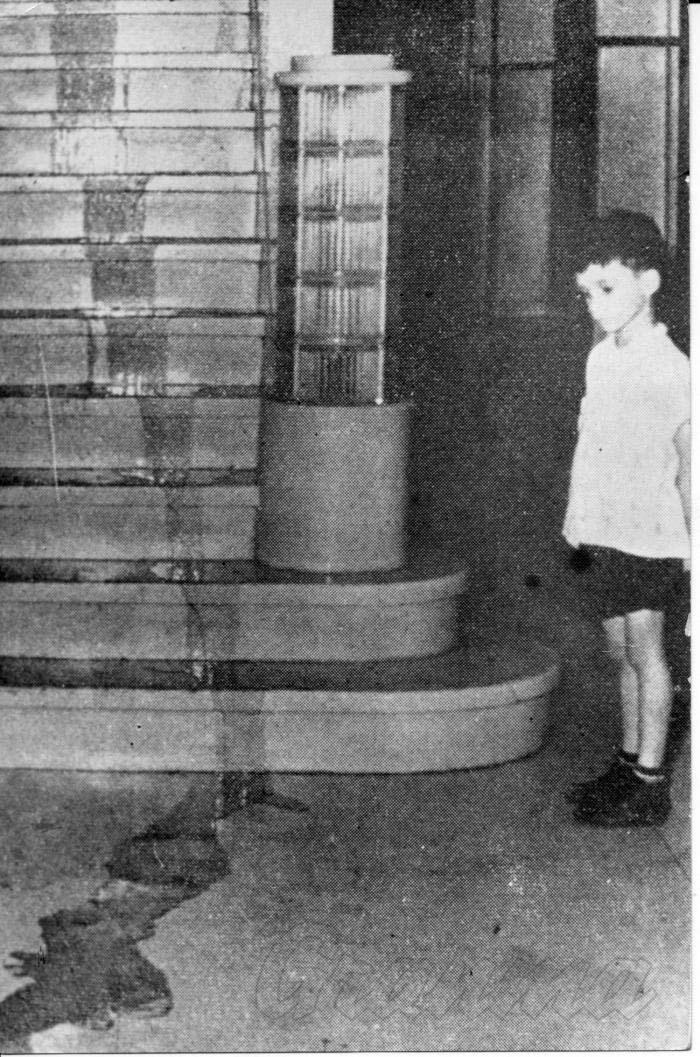 Los que cayeron en Humboltd 7