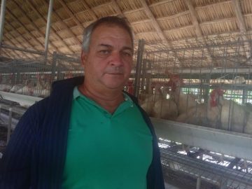 El peso de la tierra