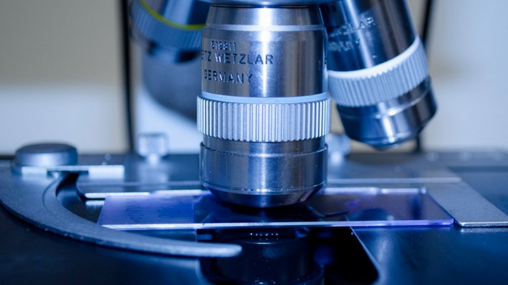 Científicos rusos descubren bacteria capaz de sobrevivir en Marte