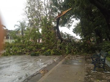 Tormenta local severa azota a Bayamo (+ fotos y videos)