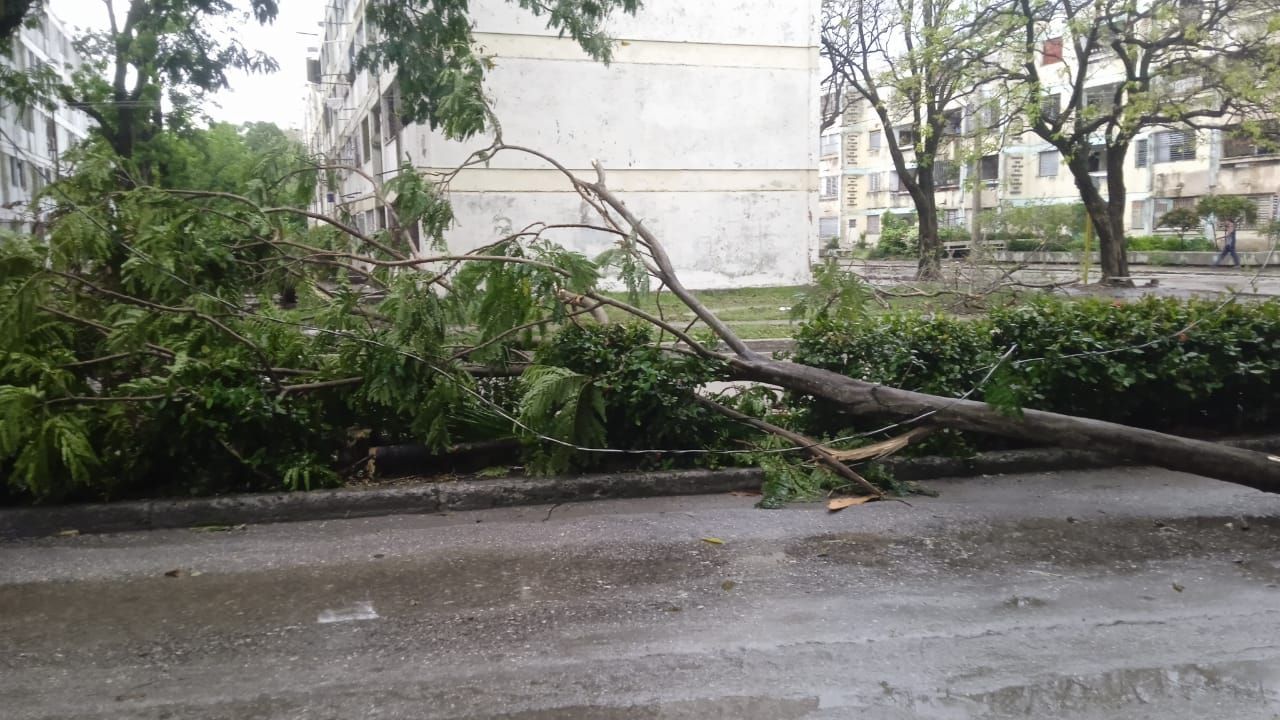 Empresa Eléctrica implementa medidas de emergencia tras tormenta severa en Bayamo