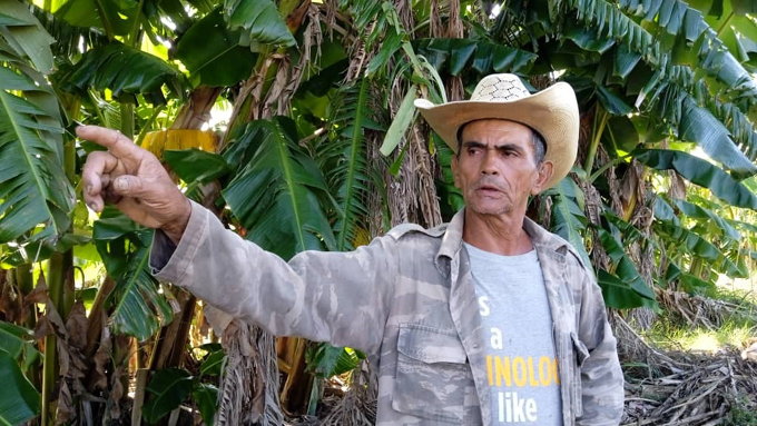 Elugerio: campesino desde arriba hasta abajo