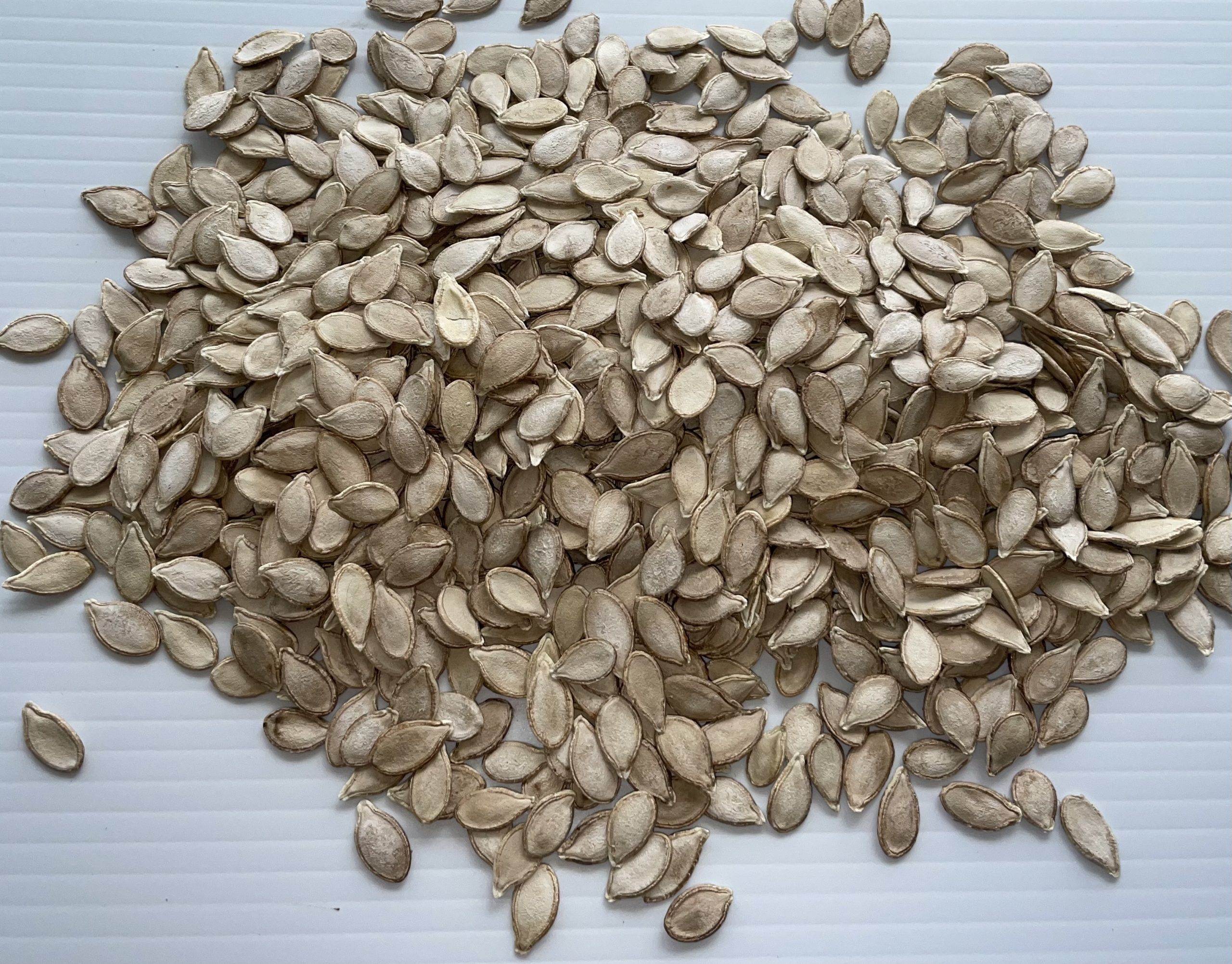 Semillas subutilizadas: alimento, salud y soberanía