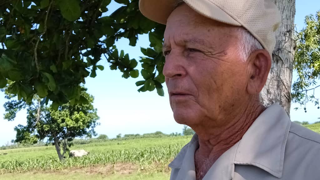El surco como vértebra de la vida