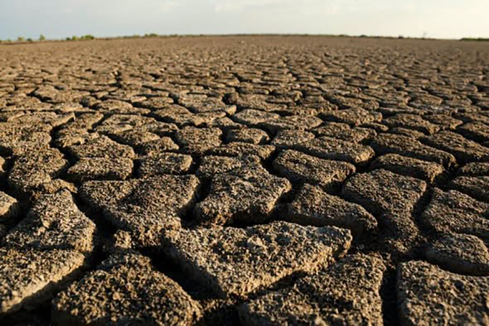 Avanza Cuba en lucha contra desertificación y sequía