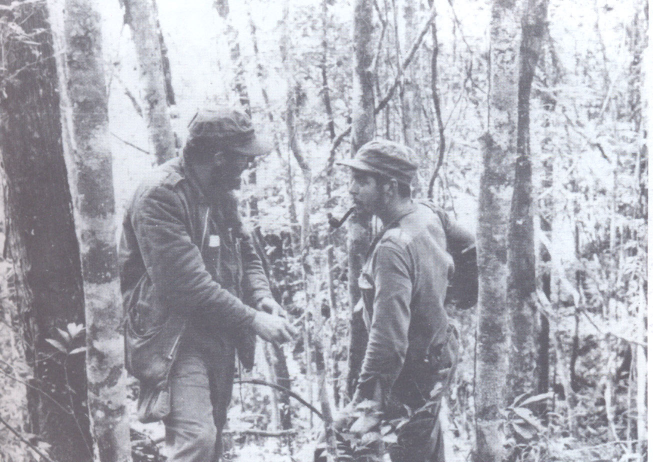 Fidel y Che, una hermandad entrañable