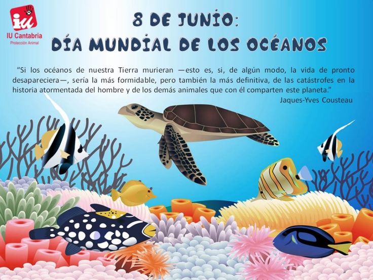 Día Mundial de los Océanos en 2026: “Reimaginar”