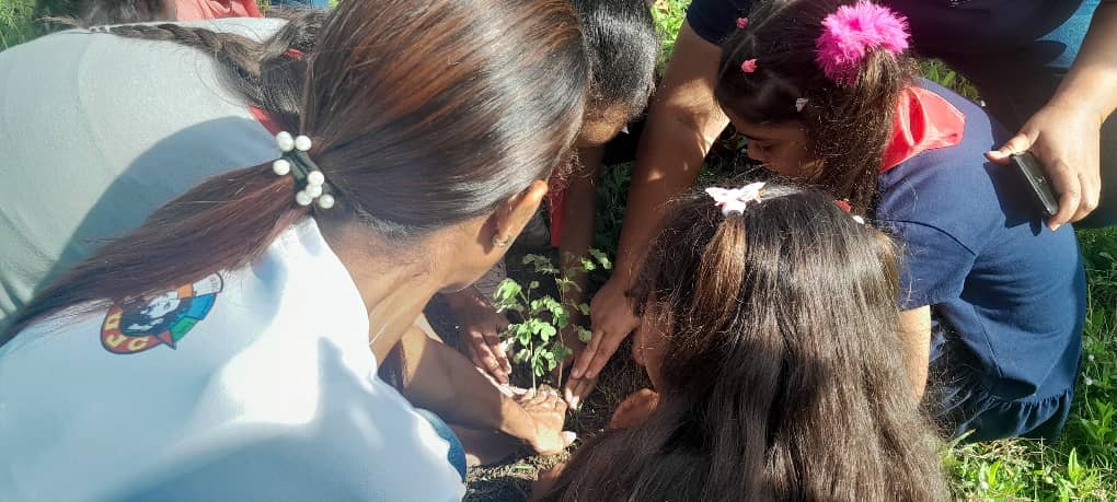 Convocan en Manzanillo a la esperanza activa en Día Mundial del Medio ambiente