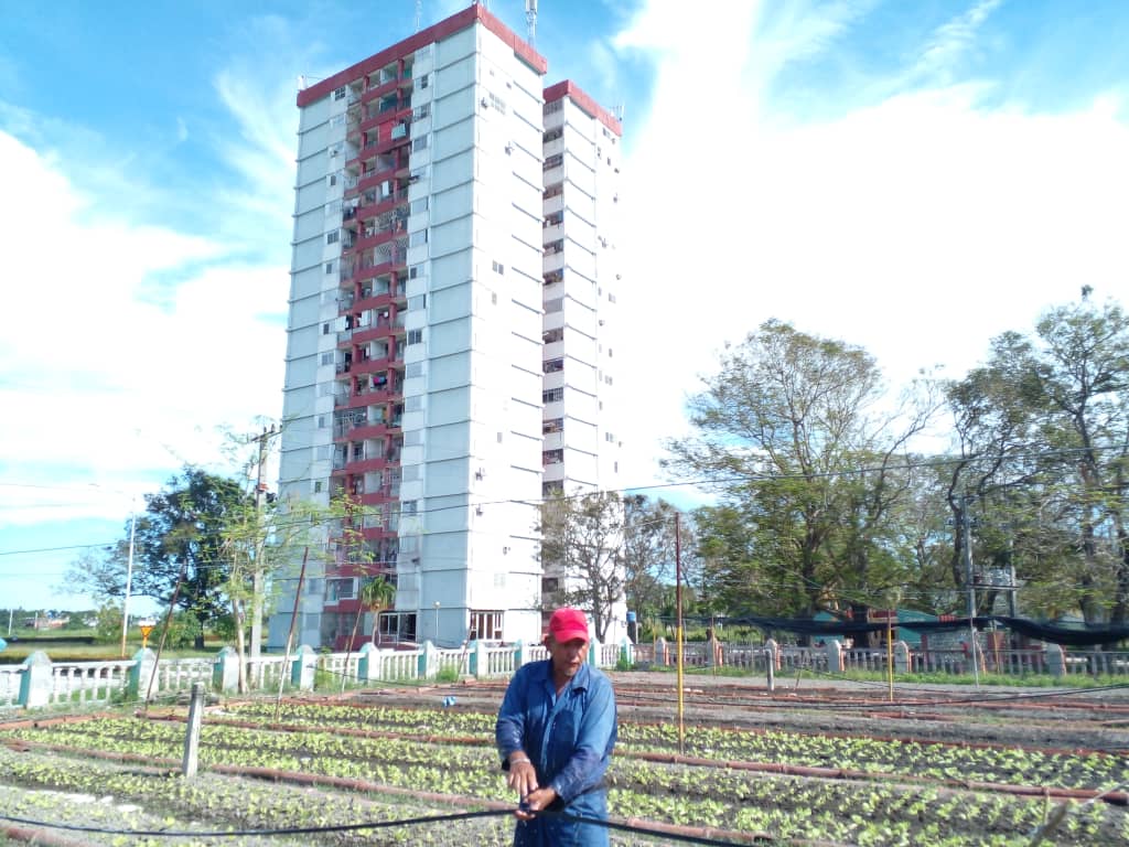 Destacan cooperación de la FAO con la Agricultura Urbana, Suburbana y Familiar  en Granma