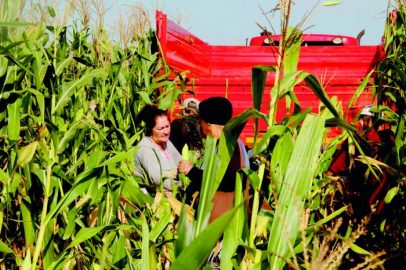 El campo cubano ante una nueva etapa