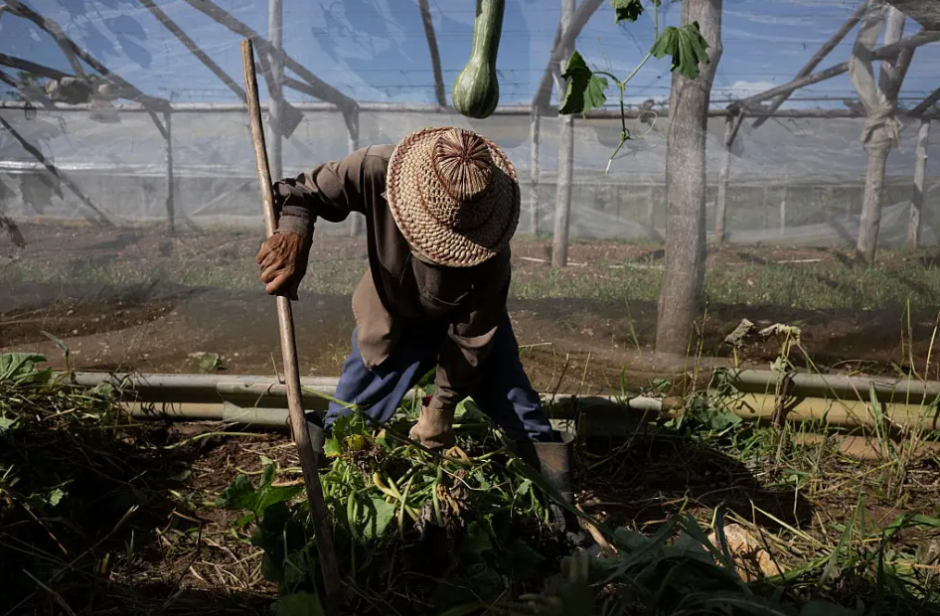 Estados Unidos apunta ahora al suministro de alimentos de Cuba