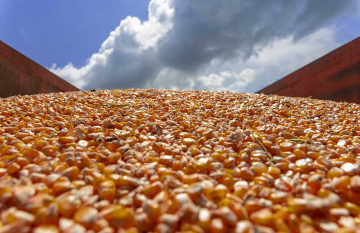 Abogan por sistemas agroproductivos más resilientes y sostenibles
