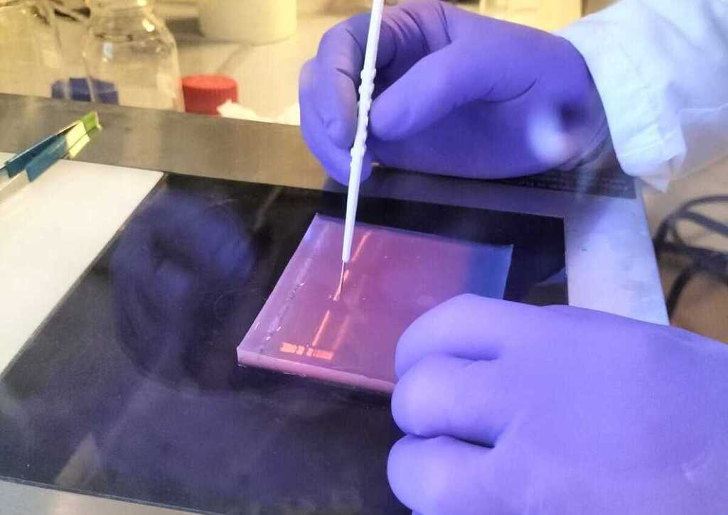 Estudio revela presencia de microalgas tóxicas en aguas cubanas