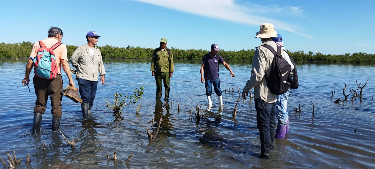 Raíces que protegen: mi costa frente al cambio climático