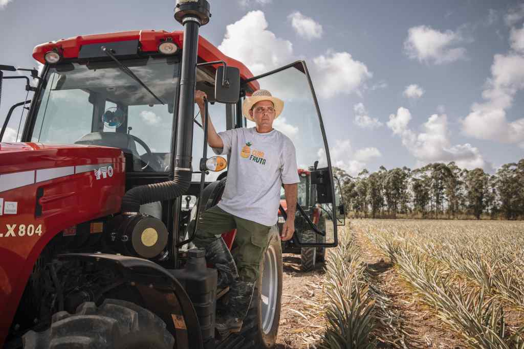 Italia y Cuba fortalecen producción sostenible de piña y aguacate