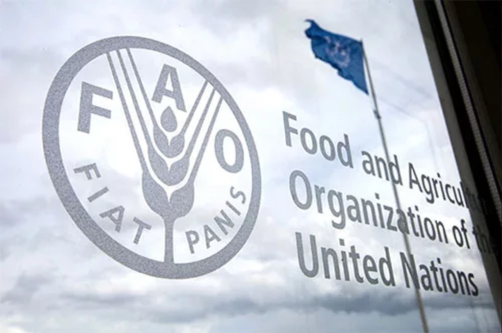 Comienza en Roma el Foro Mundial de la Alimentación de la FAO